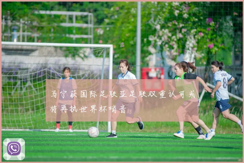 马宁获国际足联亚足联双重认可或将再执世界杯哨音