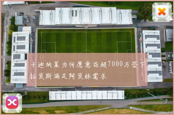 卡迪纳莱为何愿意花超7000万签下拉莫斯满足阿莫林需求